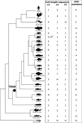 Specific Evolution and Gene Family Expansion of Complement 3 and Regulatory Factor H in Fish